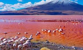 Lac Natron