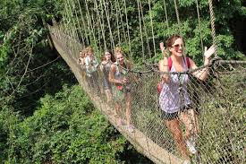 Canopy Walkway