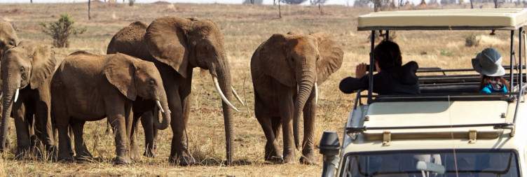 3-Day Cultural Experience at Lake Eyasi & Wildlife Visit Tanzania safari package
