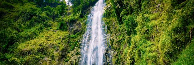 1-Day Explore Wildlife and Materuni Waterfall Tanzania safari package