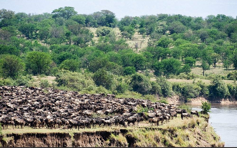 3-Day Luxury Wildlife Encounters- Serengeti & Ngorongoro Tanzania safari package