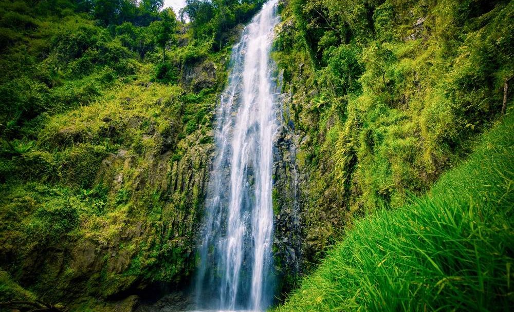 1-Day Explore Wildlife and Materuni Waterfall Tanzania safari package