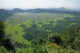 恩古尔多托火山口（Ngurdoto Crater）
