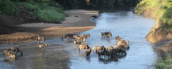 Grumeti River