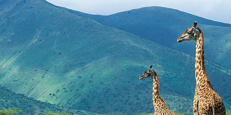 2-Day Private Midrange Safari Tanzania safari package
