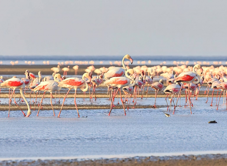 Lake Natron Tanzania safari destination