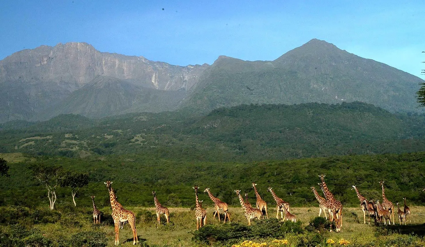 Parco nazionale di Arusha