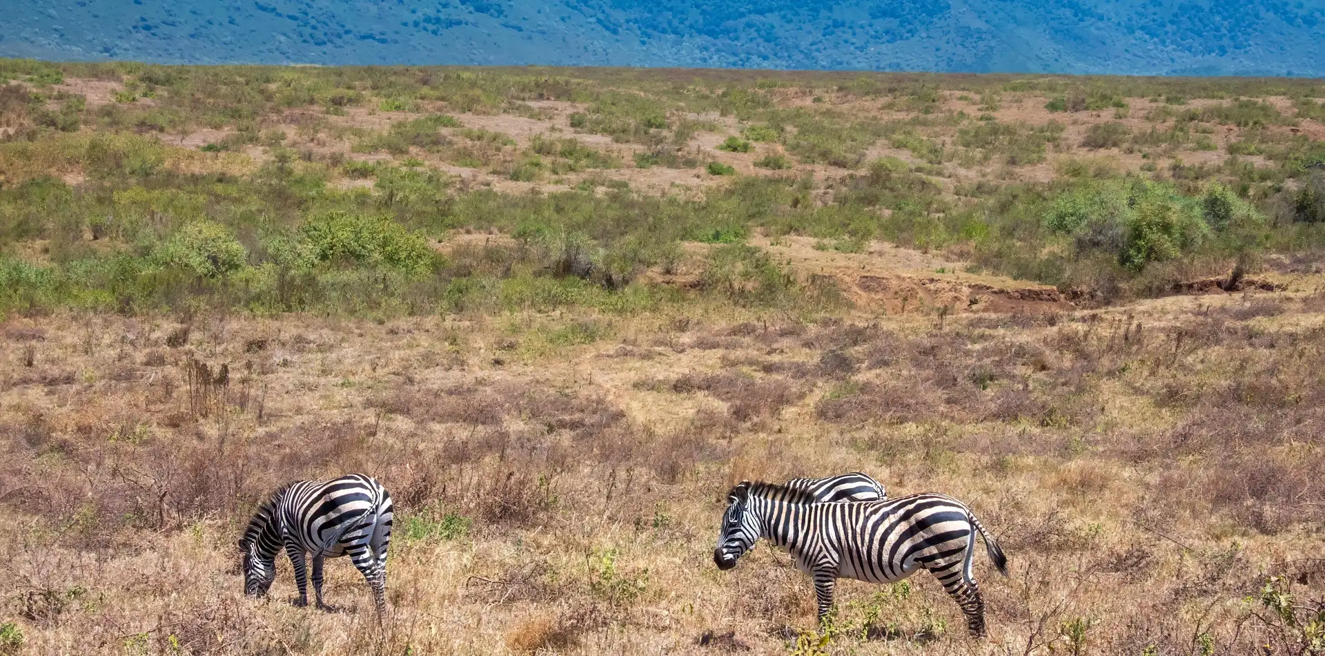 Ngorongoro Crater in October: Wildlife, Weather and Safari Tips