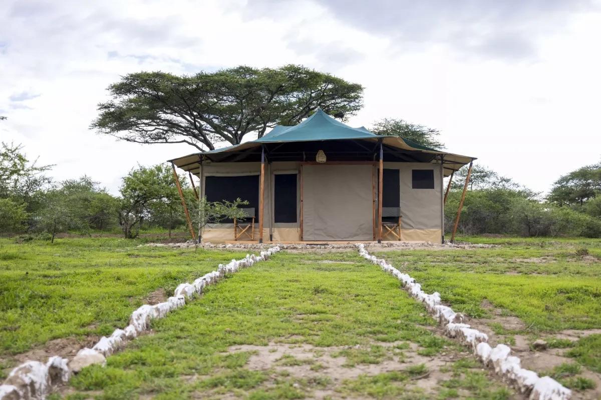 Foto de alojamiento 1 de SAFARI HAVEN MIGRATION