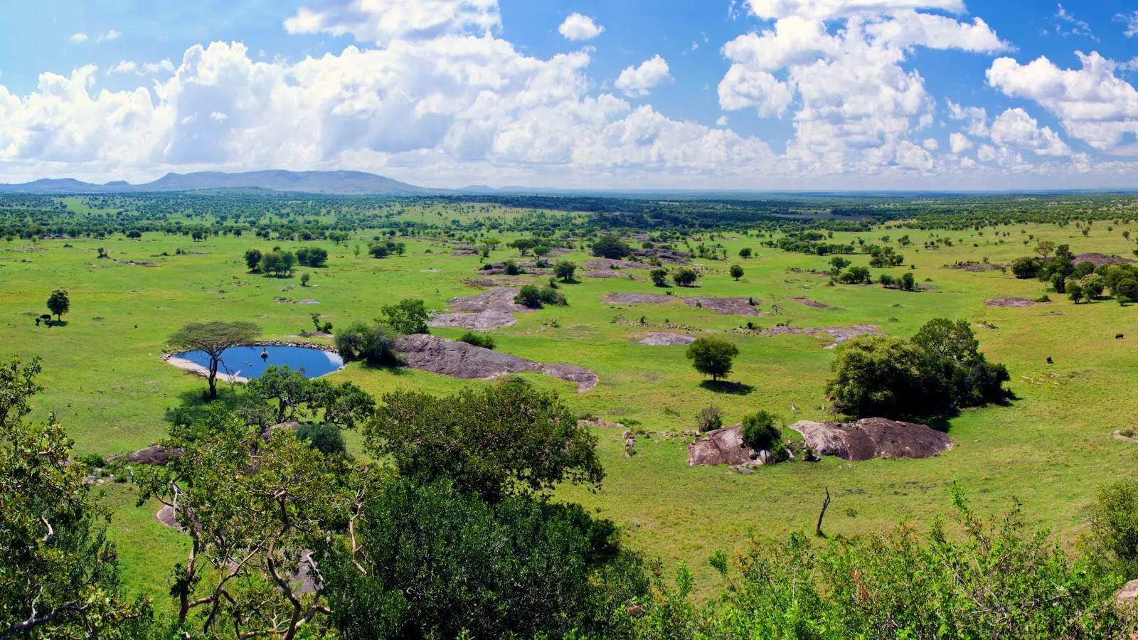 Serengeti National Park