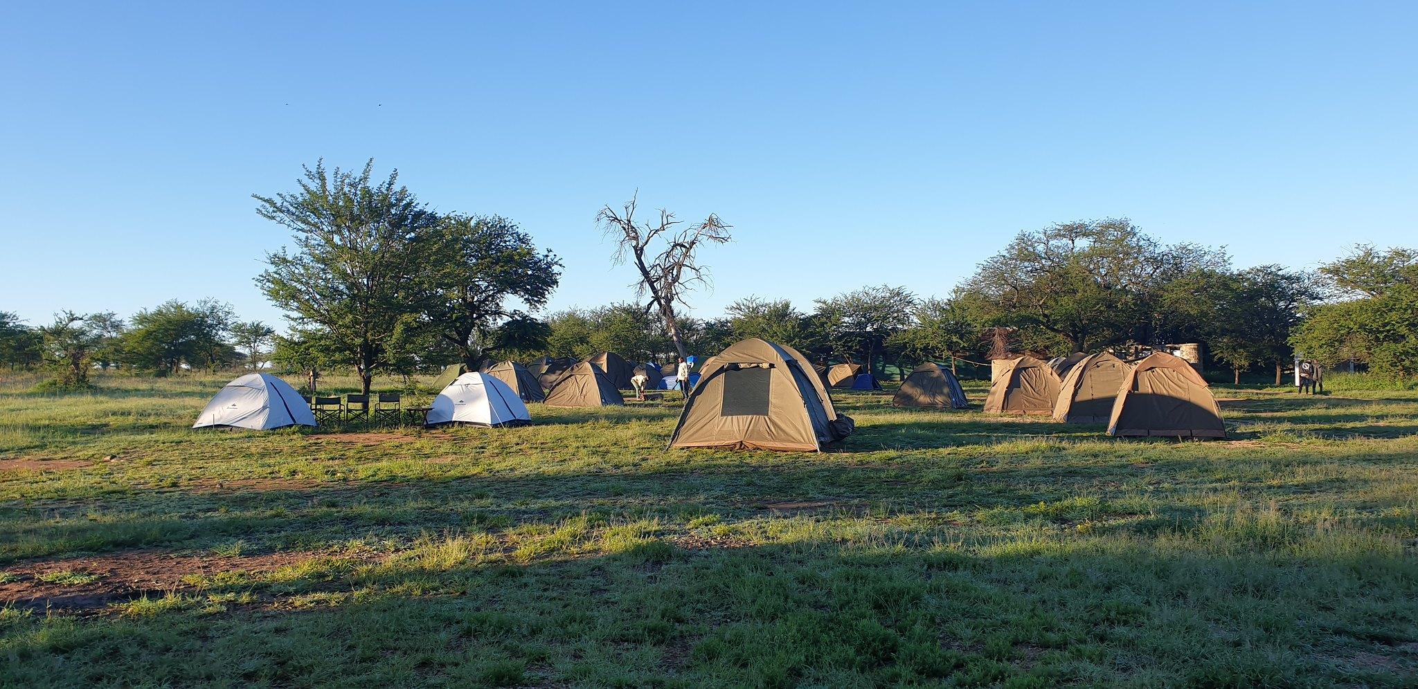 3-tägige Serengeti-Campingtour