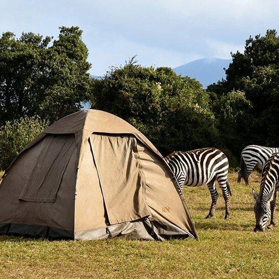 Unterkunftsfoto 3 von SERONERA PUBLIC CAMPSITE