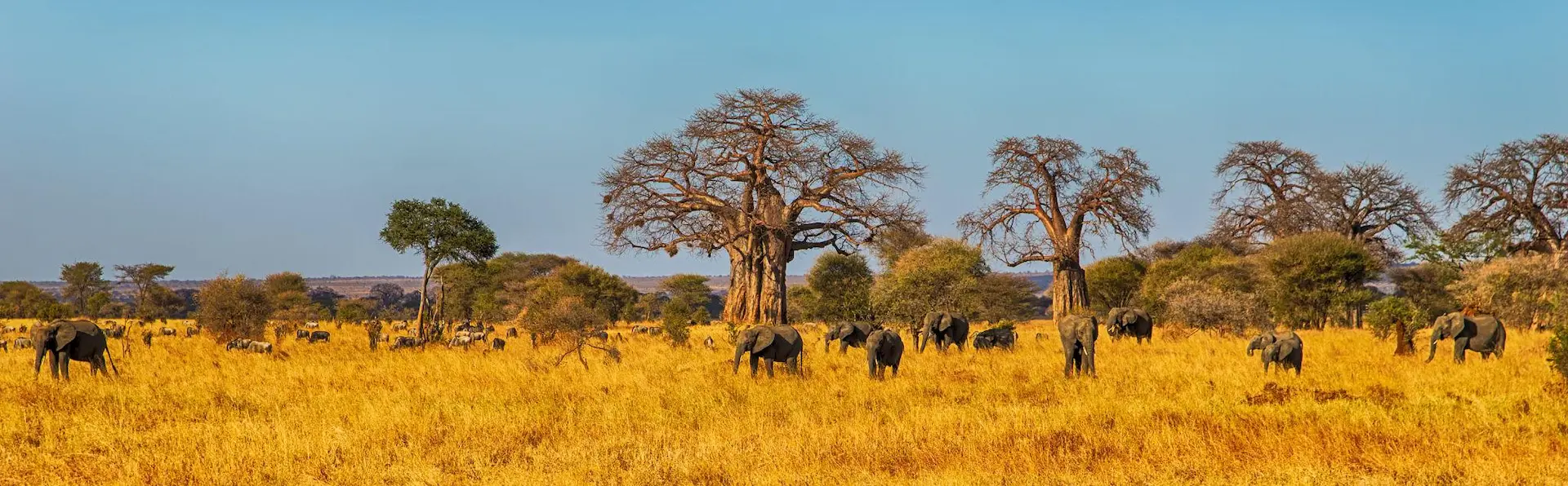 TARANGIRE NATIONAL PARK