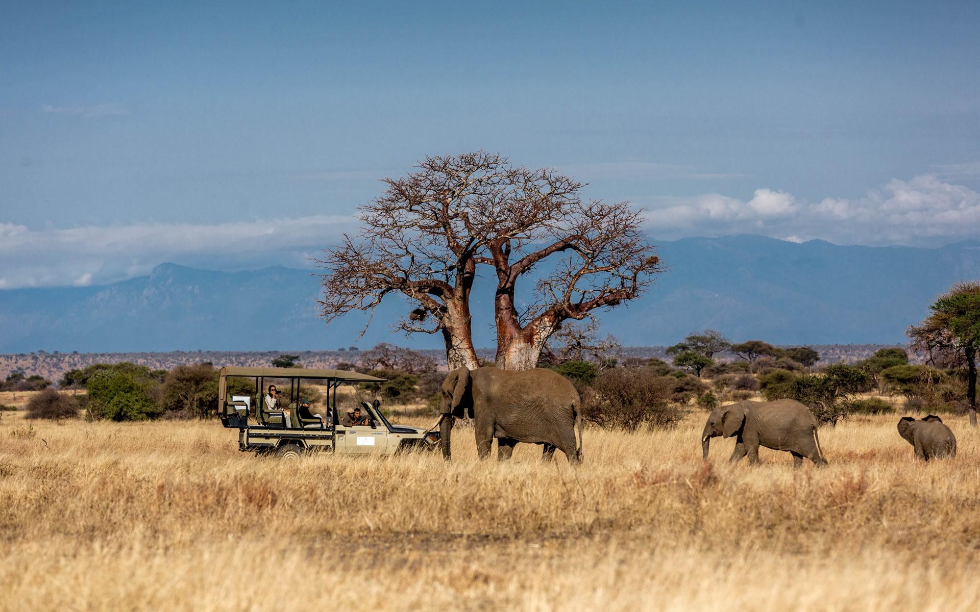 3-tägige Tarangire-, Lake Manyara- und Ngorongoro-Mittelstreckentour Galeriebild 3