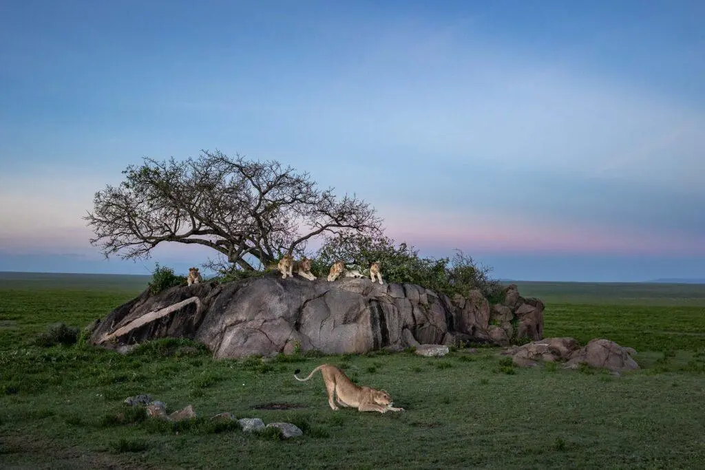 Central Serengeti