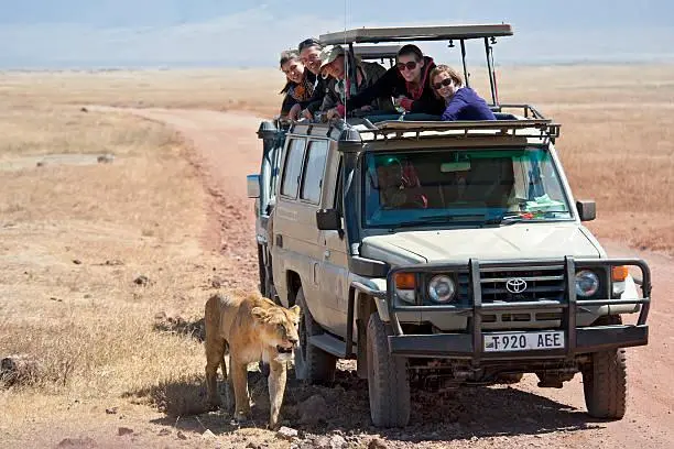 Private vs Group Safari