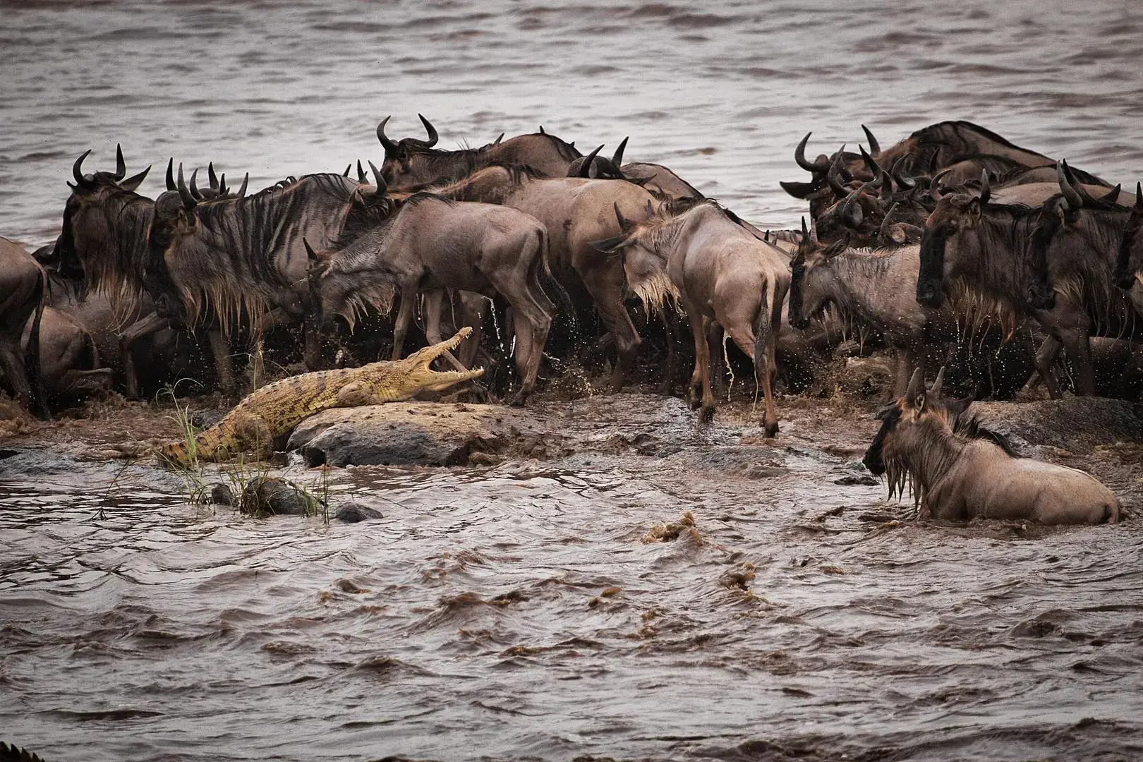 Western Serengeti (Grumeti)