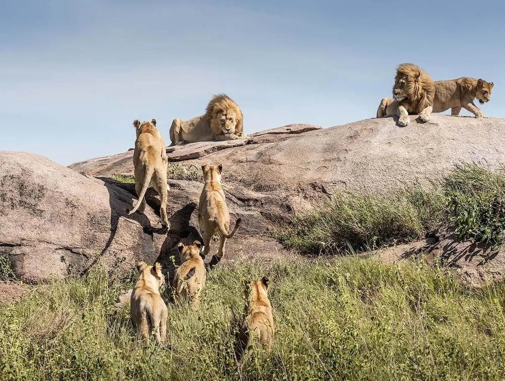 Combo with Central Serengeti