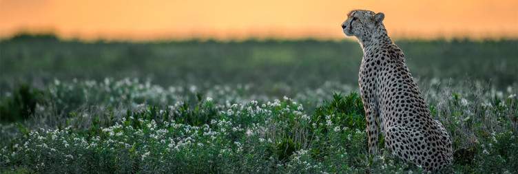 Serengeti National Park
