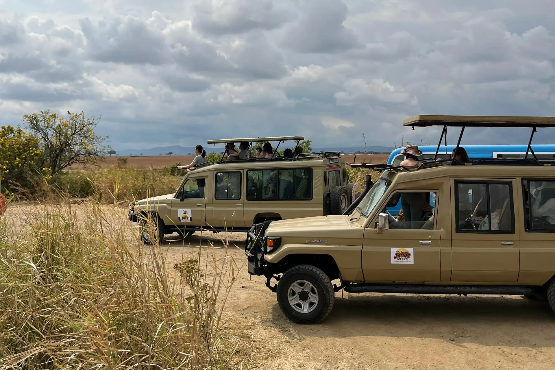 Morning Game Drive — Golden Hour