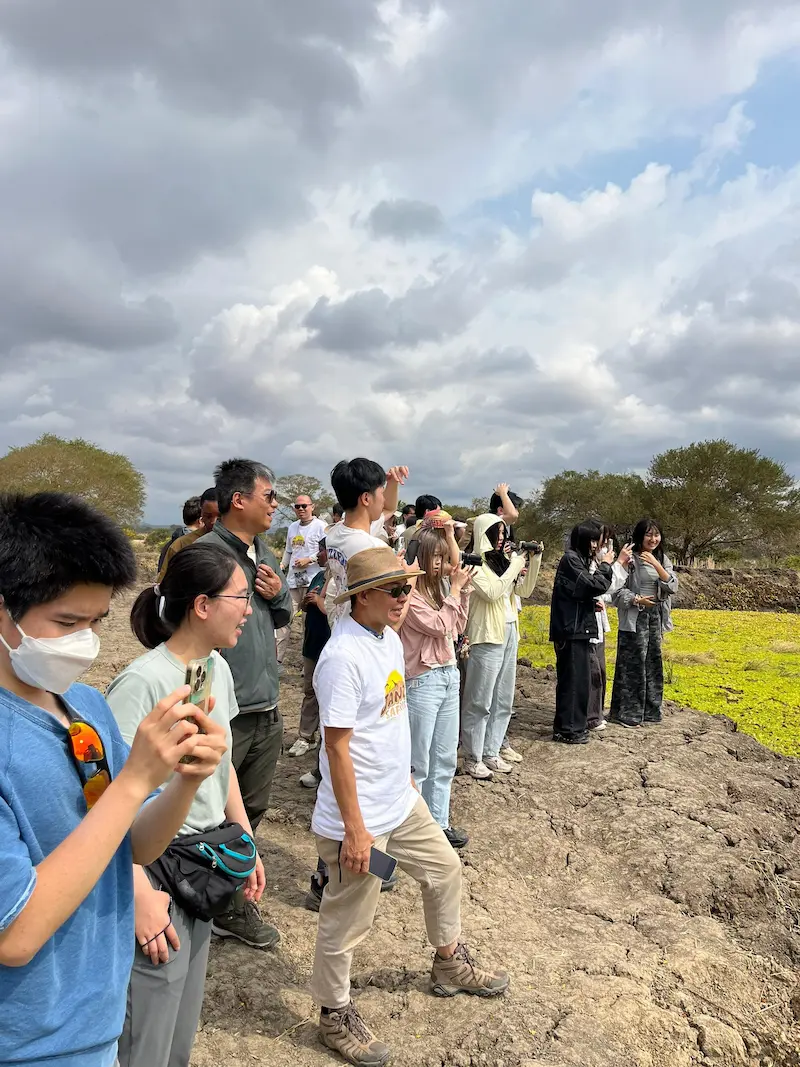 Walking Safari