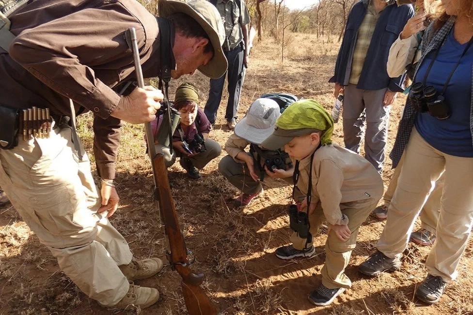 Junior ranger activities