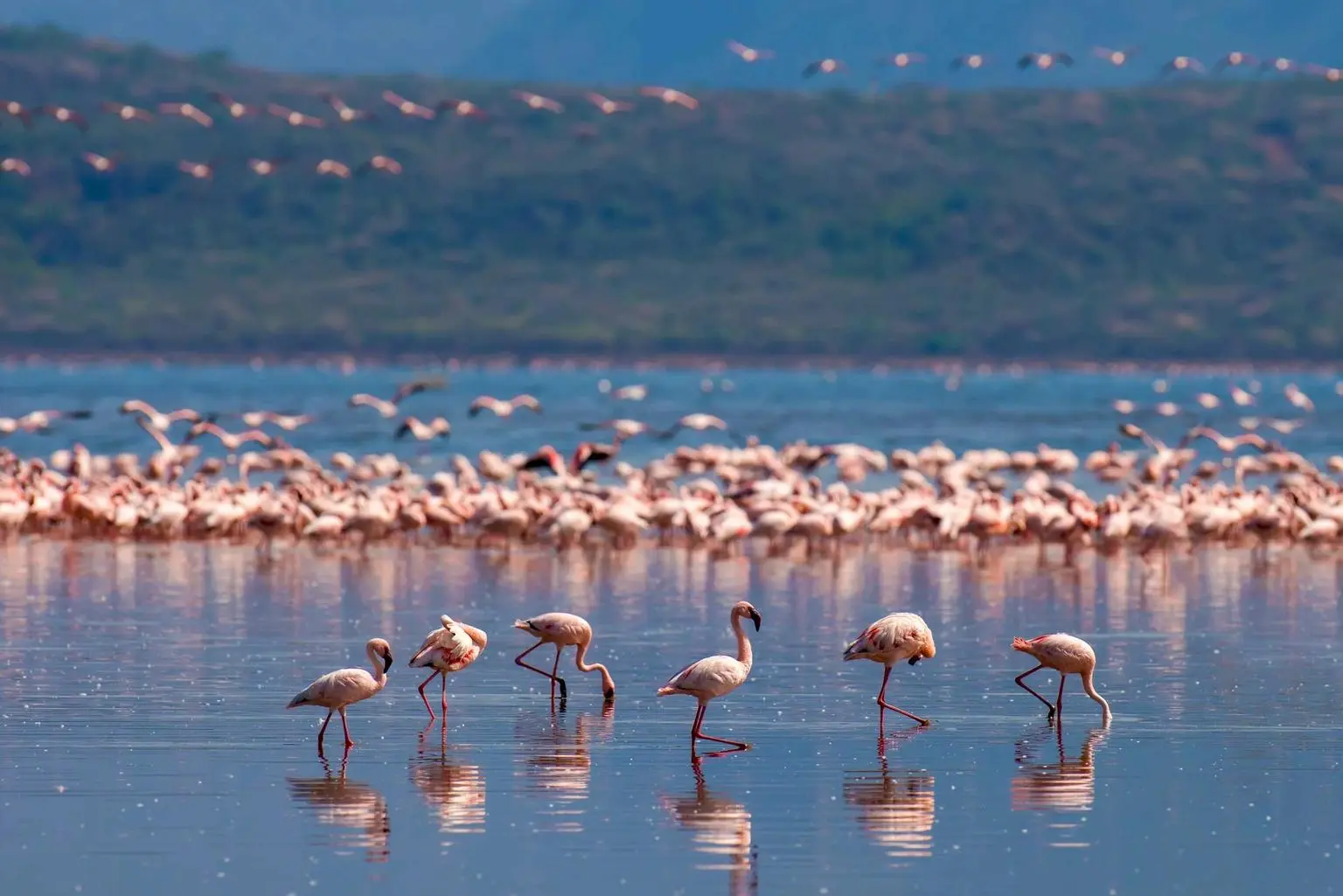 Lake Manyara