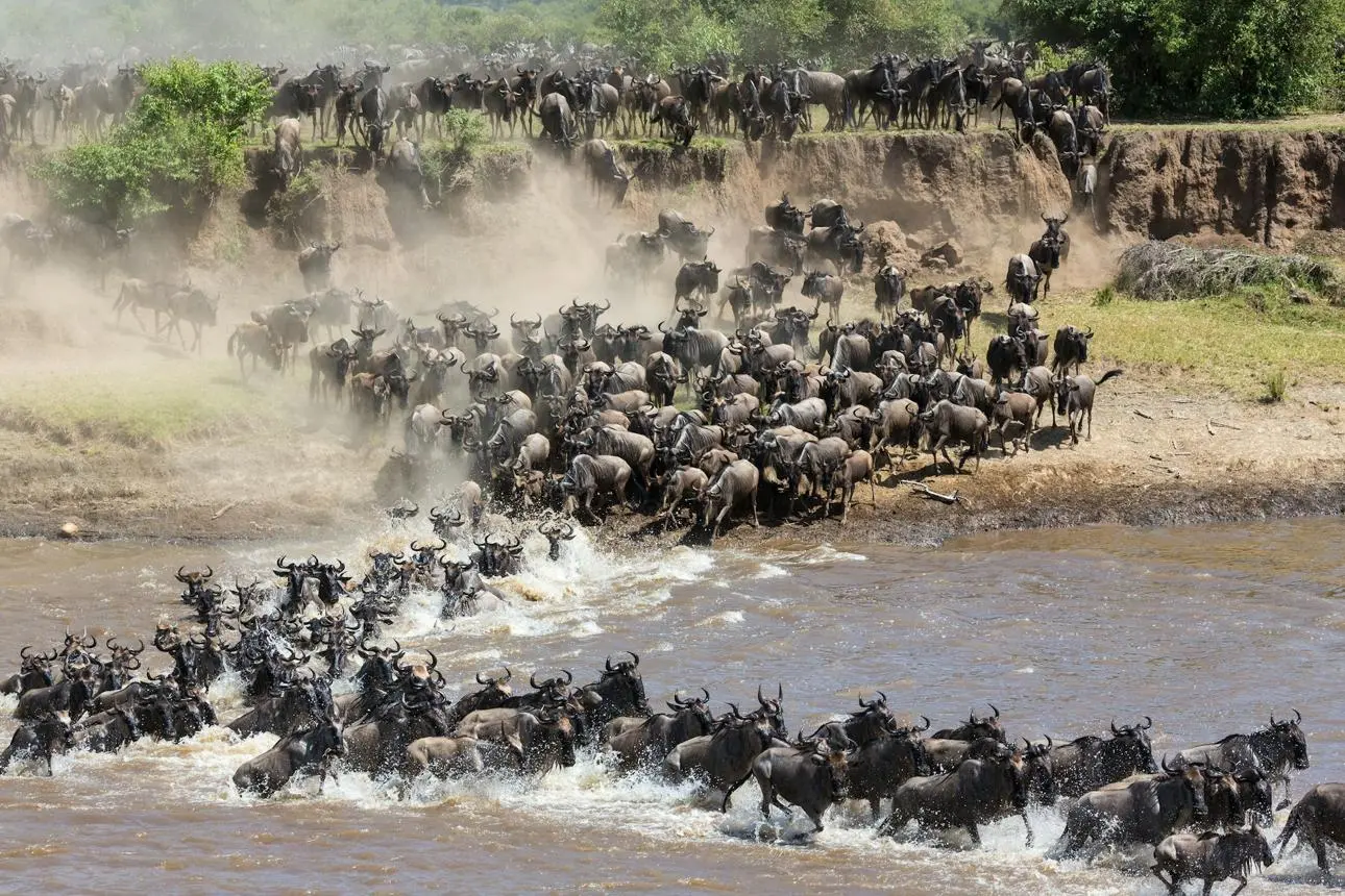 Northern Serengeti