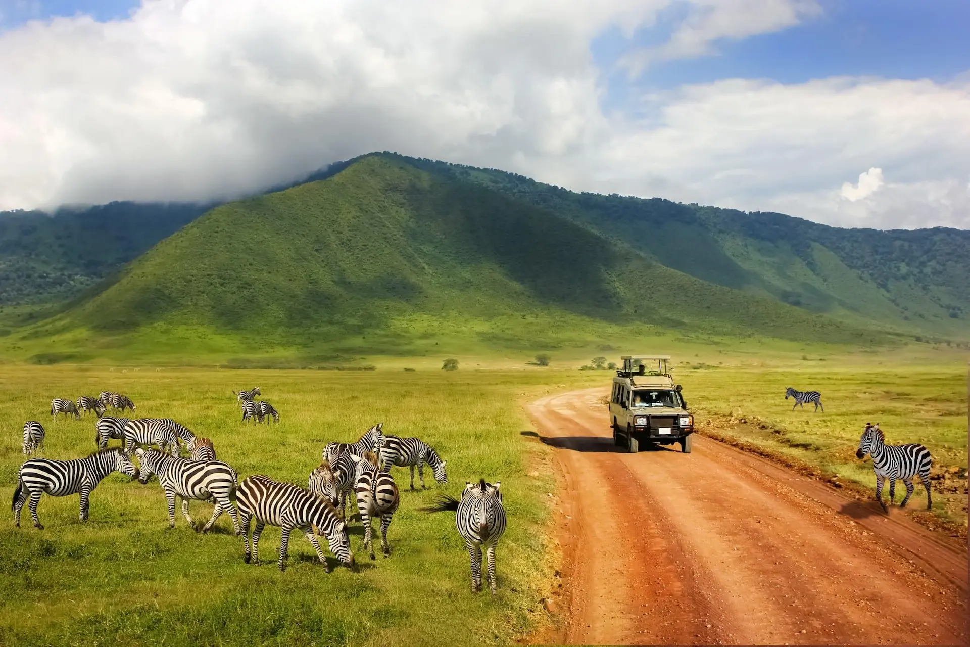 Ngorongoro combination