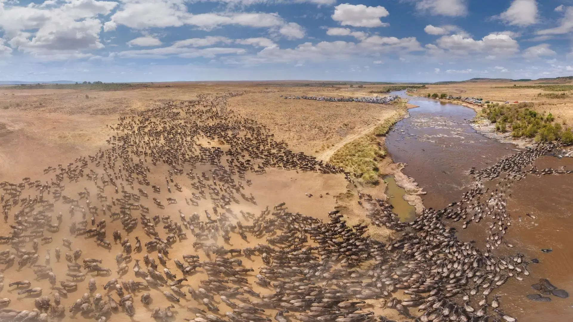 Best Time to Visit Serengeti