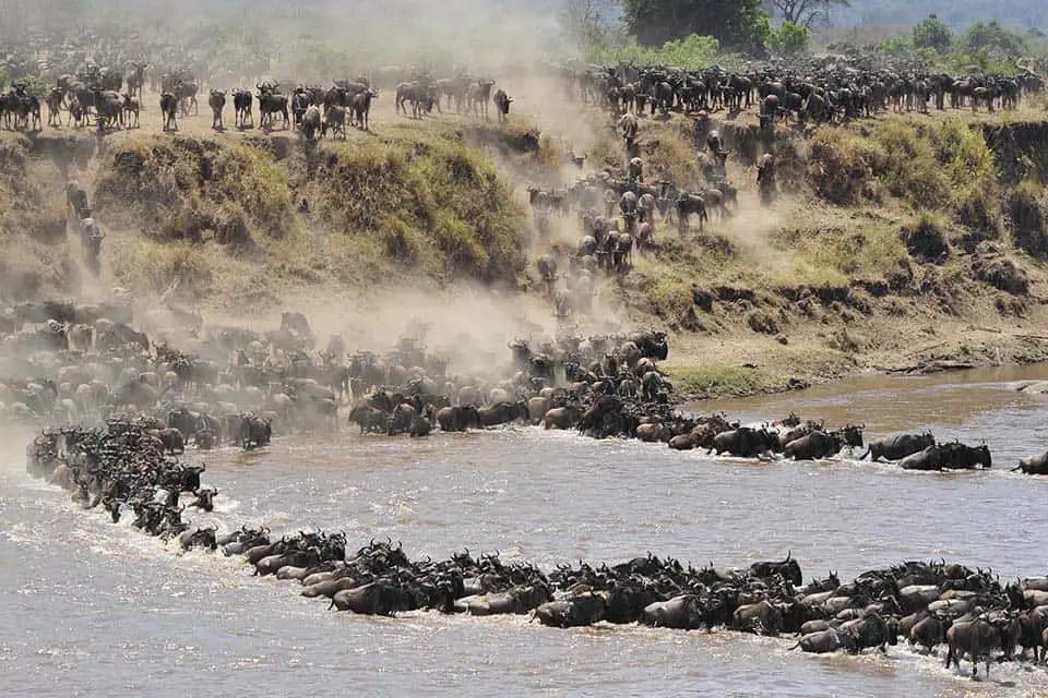 Keep Serengeti longer