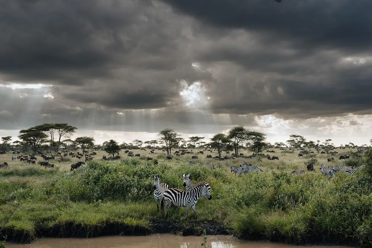 Long Rains — Apr–May