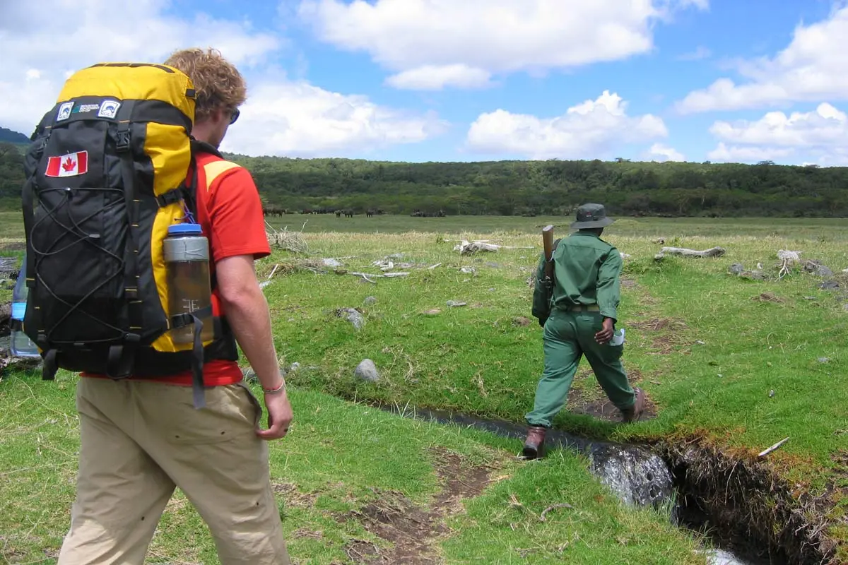 Walking safari options