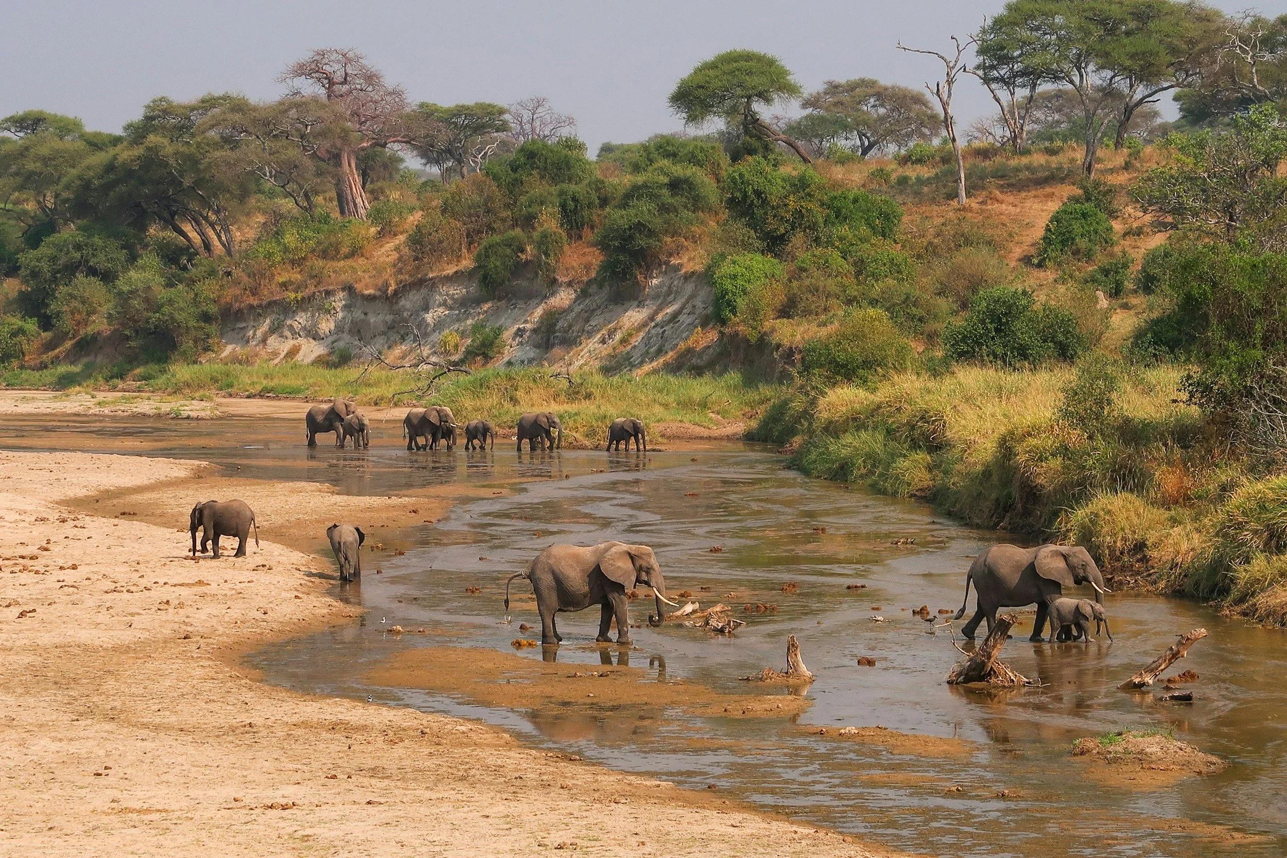 When to visit Tarangire