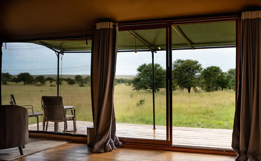 Luxury Safari