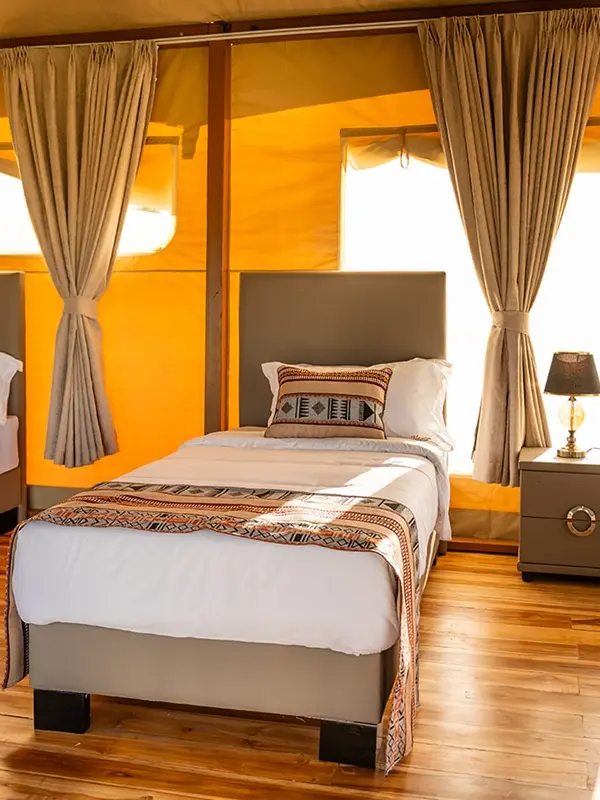 Luxury Safari Guide