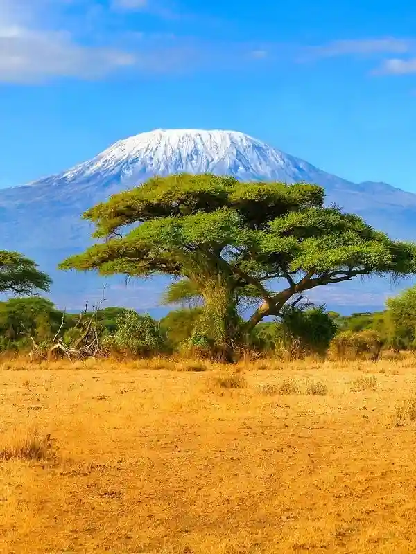 Kilimanjaro