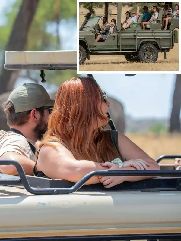 Private vs Group Safari