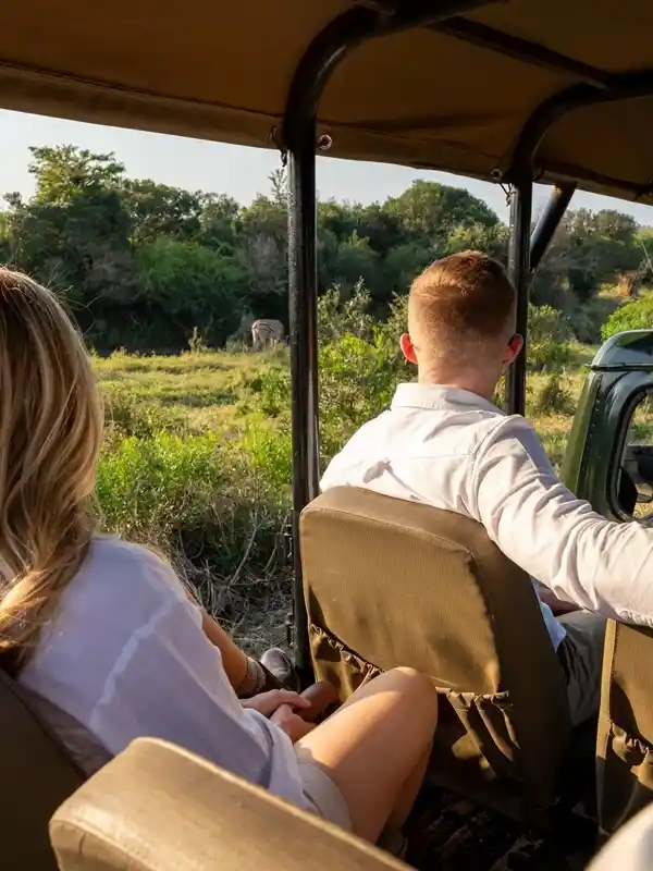 Safari Tips for First-Time Travelers