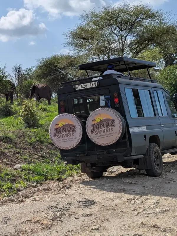 Safari Safety Guide