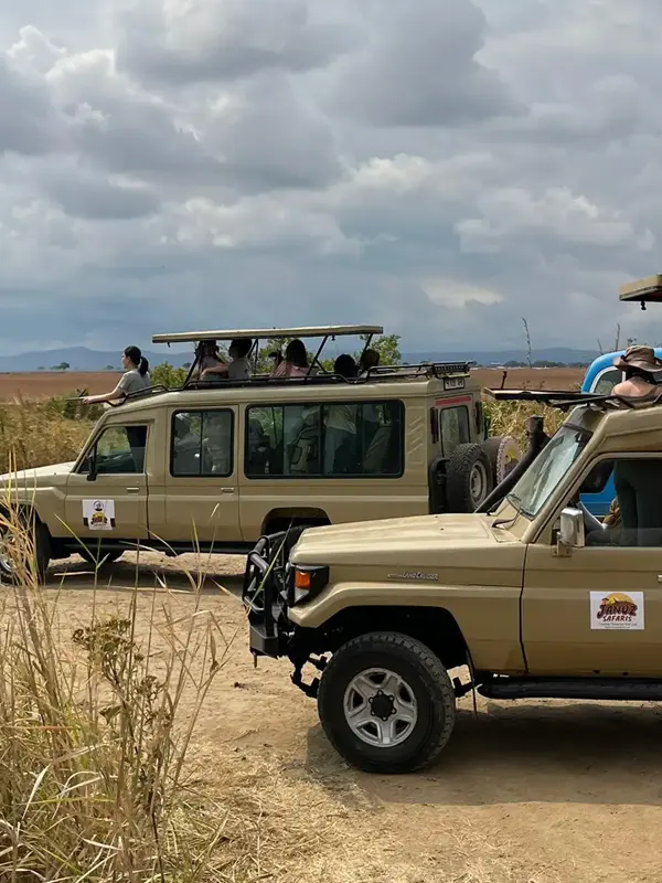 Safari Types