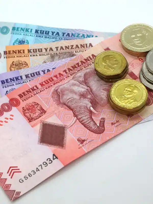 Currency & Money