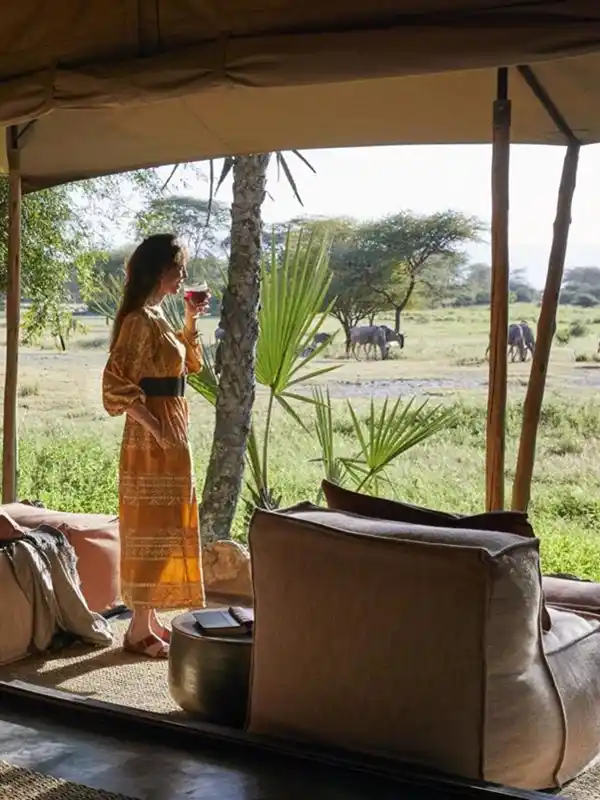 Tanzania Safari Cost