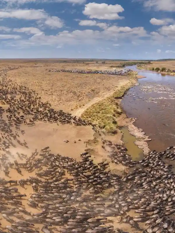 Tanzania Safari Guide