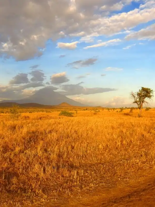Tanzania Weather