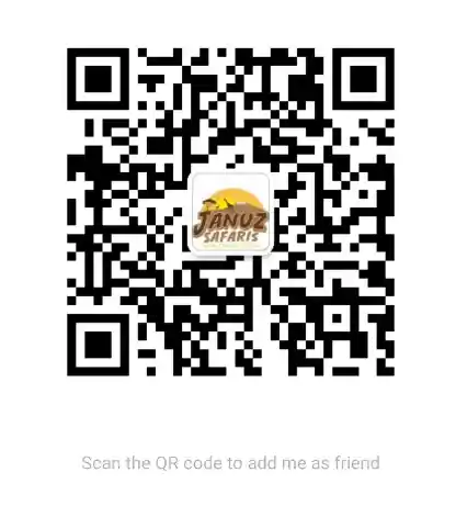 wechat