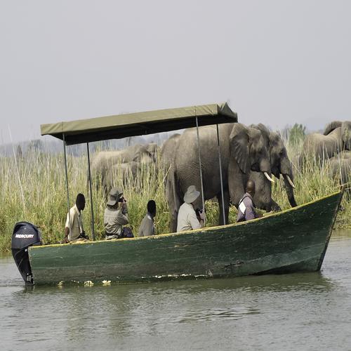 Boat Safari