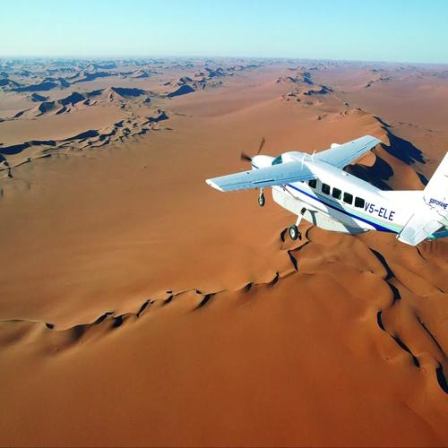 Fly-In Safari