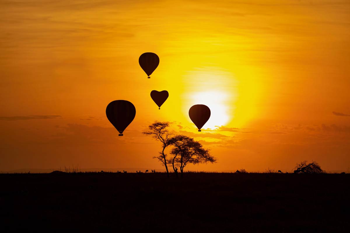 Ballon-Safaris